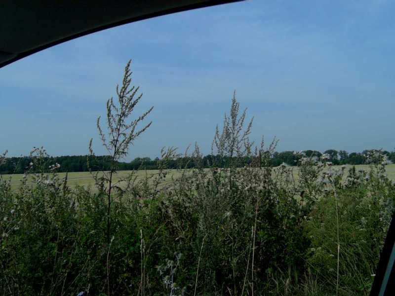 Polish countryside